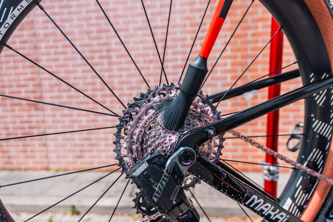 Met welke borstel maak je je fiets schoon?