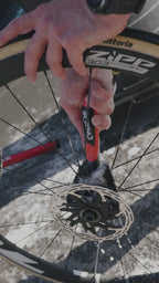 Two Prong Brush